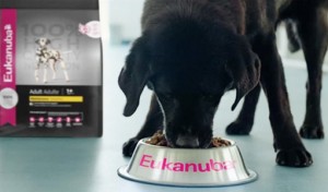 Eukanuba Launching New Campaign That Focuses on Canine Longevity