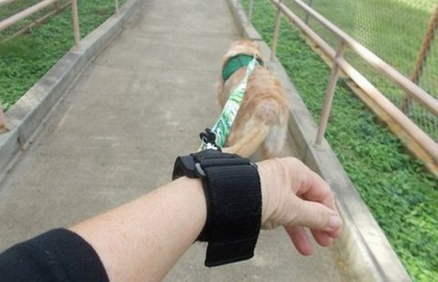 Homeless Veteran Creates a Hands Free Way to Walk Your Dog