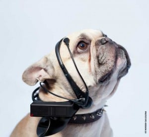 How Future Dog Technology Will Affect Pet Owners