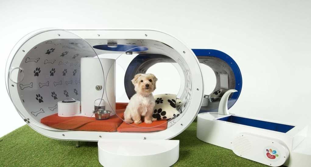 How Future Dog Technology Will Affect Pet Owners