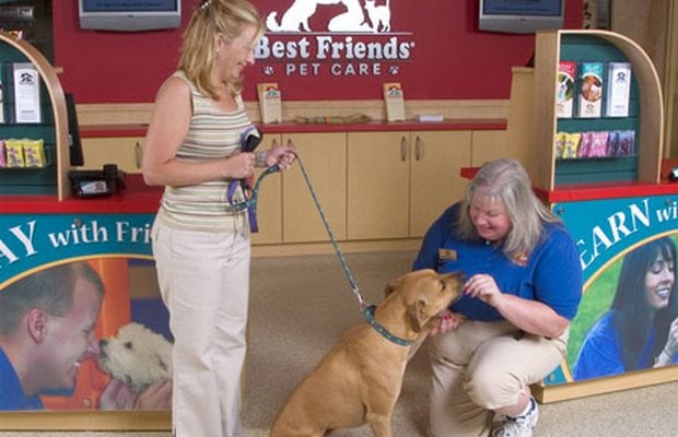 Petplan and Total Pet Care Partner to Offer Better Pet Insurance to Owners