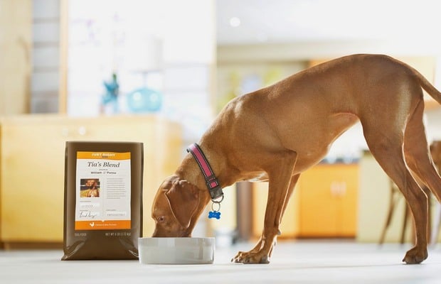 Purina Creates Personalized Pet Food