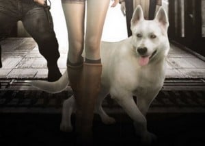 Hewie Haunting Ground