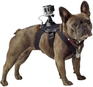 gopro pet harness