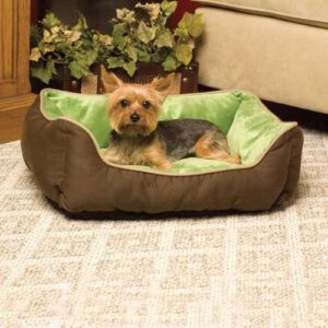 Bedtime Basics - Why Your Dog Needs a Dog Bed