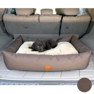 Bedtime Basics - Why Your Dog Needs a Dog Bed