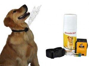 Best Alternatives to Dog Shock Collars