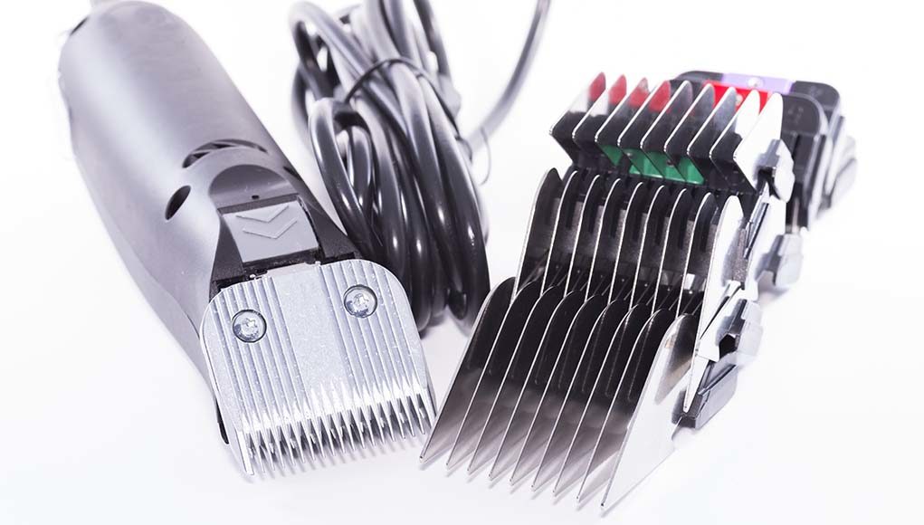 Best Pet Hair Clippers for Dogs Buying Guide