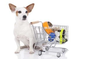 Dog Supplies Business Ideas