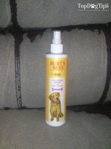 How I Keep My Dog's Skin and Coat Healthy