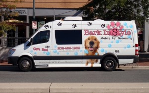 How to Start a Dog Grooming Business