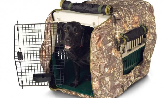 How to choose the right dog kennel cover