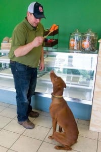 Illinois Pet Store Opens Its Doors to Sell All-Natural Pet Products