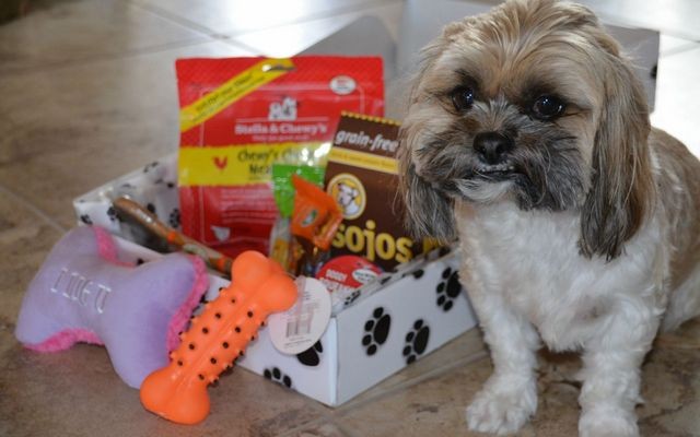 Pooch Paw Box Subscriptions Deliver American Made Toys and Treats