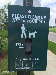 Doggy Poop Bags and How to Live With Them