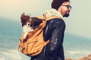 Pros and Cons of Dog Carrier Backpack