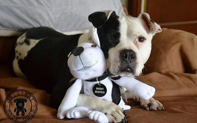 Sock Dogs Are a Unique Way to Honor Your Canine Companion