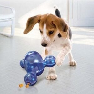 The Company of Animals Offers Pet Owners Some of the Most Innovative Products on the Market