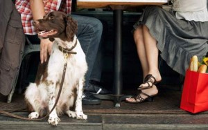 The Double Wide Grill in Pittsburgh Serves Canine Companions Too