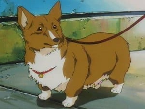 Top 10 Best Anime with Dogs