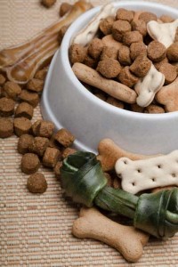 free dog food samples and treats