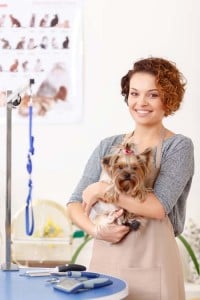 professional dog groomer with a pet