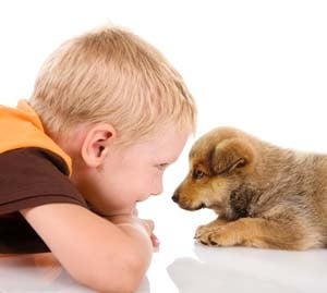 young dog and kid looking at each other