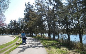 You Should Be Proud of Your Dog Stroller