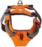 Ruffwear harness