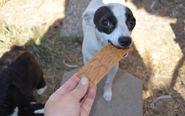 Betsy Farms Debuts New Made in the USA Dog Treats