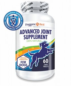 Doggone Best Products Releases New Canine Joint Supplement