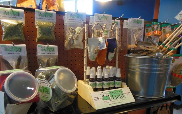 Earth Friendly Pet Product Line Inspired by Hemp