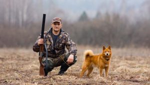 Gun dog supply for the field