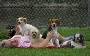 How to Write a Dog Daycare Business Plan