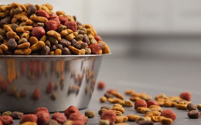 Mars is Leading the Way to a Greener Pet Food Industry