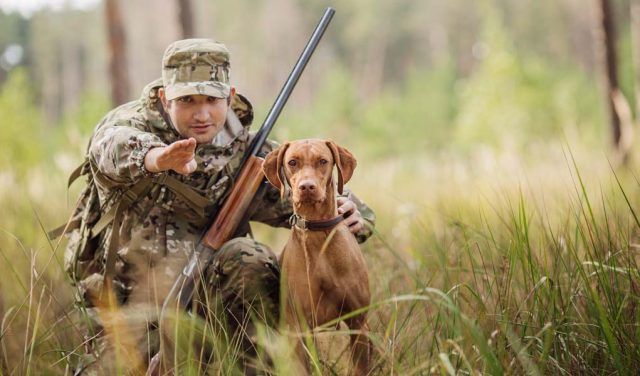 Most Essential Best Gun Dog Supplies for Game Hunters to Assist You Both on Hunts