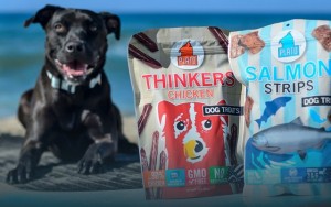 Plato Pet Treats Makes Healthy Products and Gives Back to Numerous Charities