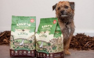 Some Dog Food Companies Hire Human Taste Testers