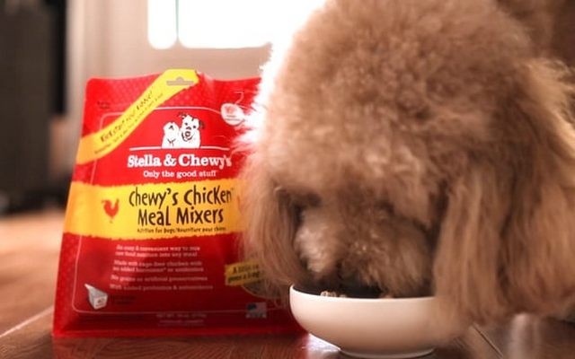 Stella & Chewy's Issues a Large Voluntary Recall