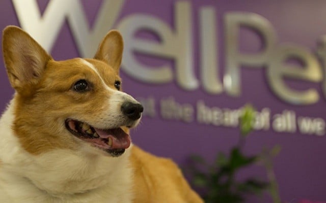 WellPet Excels at SuperZoo 2015