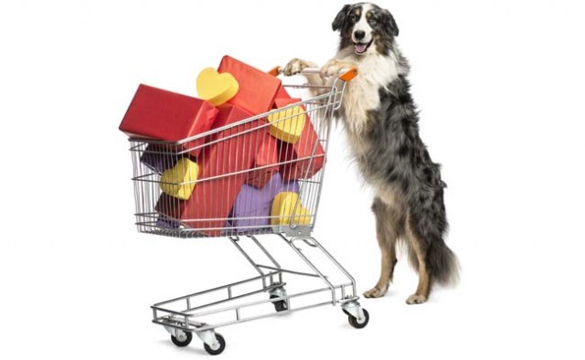 Best Deals and Discount Dog Supplies featured image