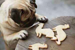 Totally Awesome Gifts for Dog Lovers and Owners