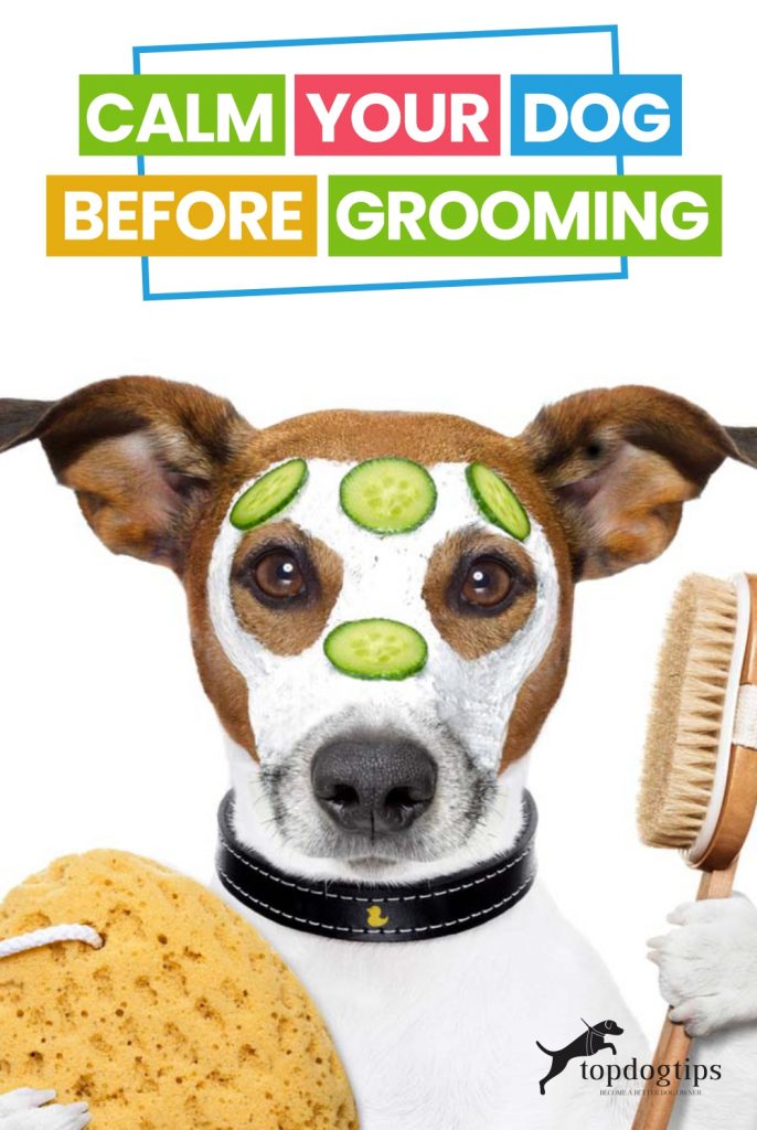 Calm Your Dog Before Grooming