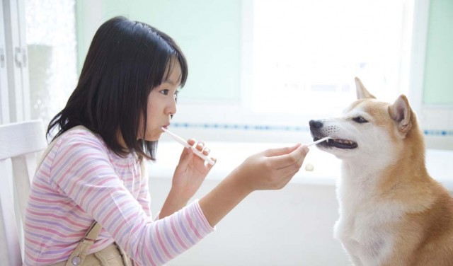 Dog Teeth Cleaning 101 - Brushing Dogs' Teeth featured image