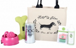 Harry Barker Manufacturers Eco-Friendly Dog Products