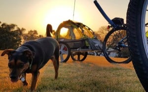 Hit the Road with a Doggy Trailer