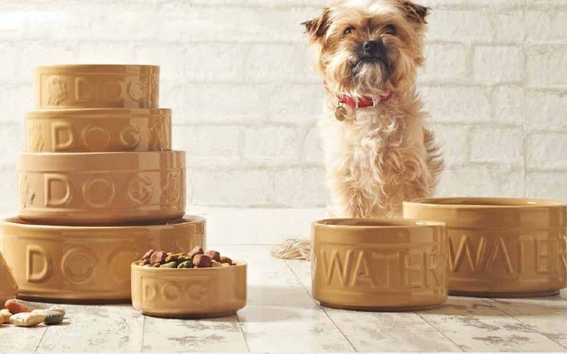 Mason Cash Stoneware Pet Products are Durable and Unique