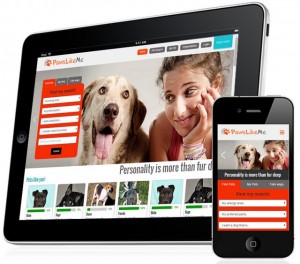 New Dog-Adoption Service Makes Matches Based on Personality