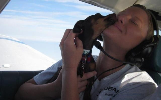 Pilots N Paws Helps Rescue Dogs Around the World