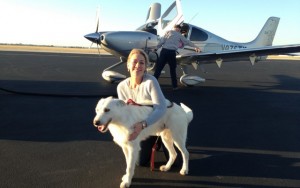 Pilots N Paws Helps Rescue Dogs Around the World